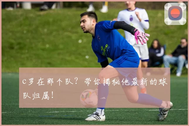 c罗在那个队?带你揭秘他最新的球队归属!
